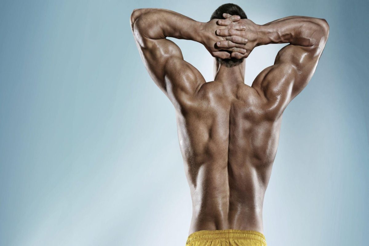 Wellhealthorganic.Com_How-To-Build-Muscle-Know-Tips-To-Increase-Muscles
