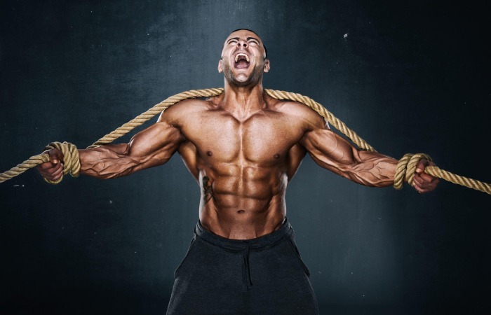 What is Muscle Building_