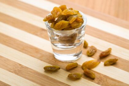 Wellhealthorganic.Com_Easy-Way-To-Gain-Weight-Know-How-Raisins-Can-Help-In-Weight-Gain - Latest Topic