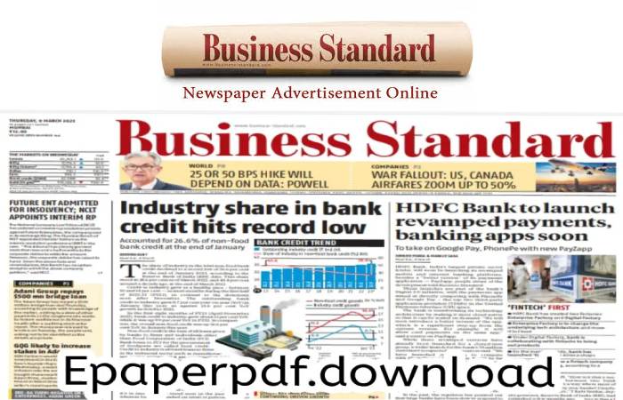 What is the Business Standard ePaper PDF_
